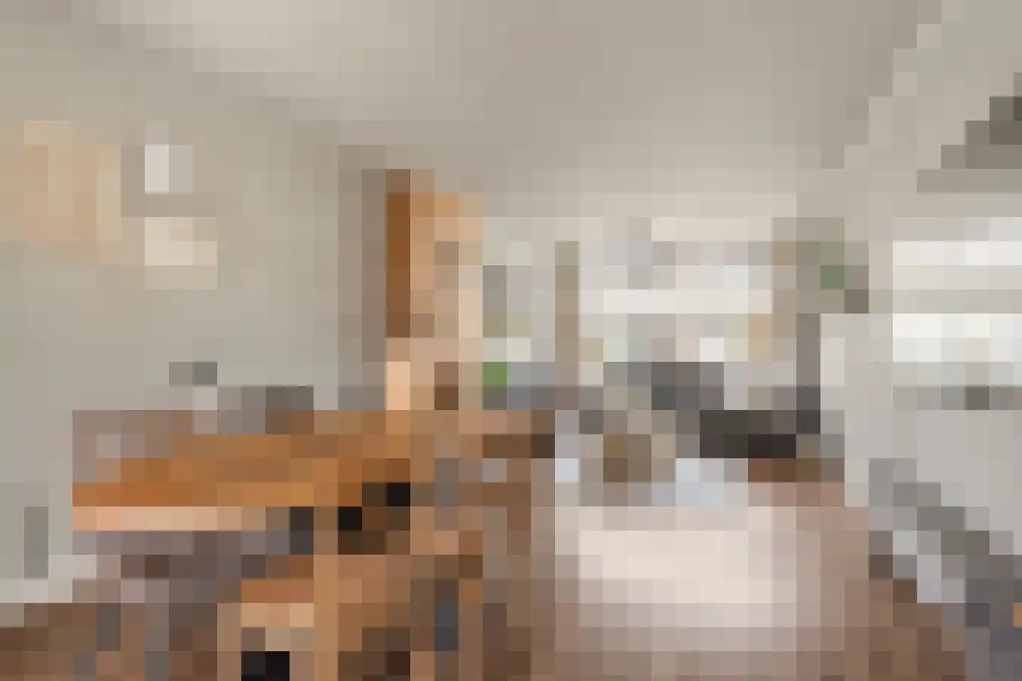 Floris van Egmondstraat 25 Lopik thumbnail 17