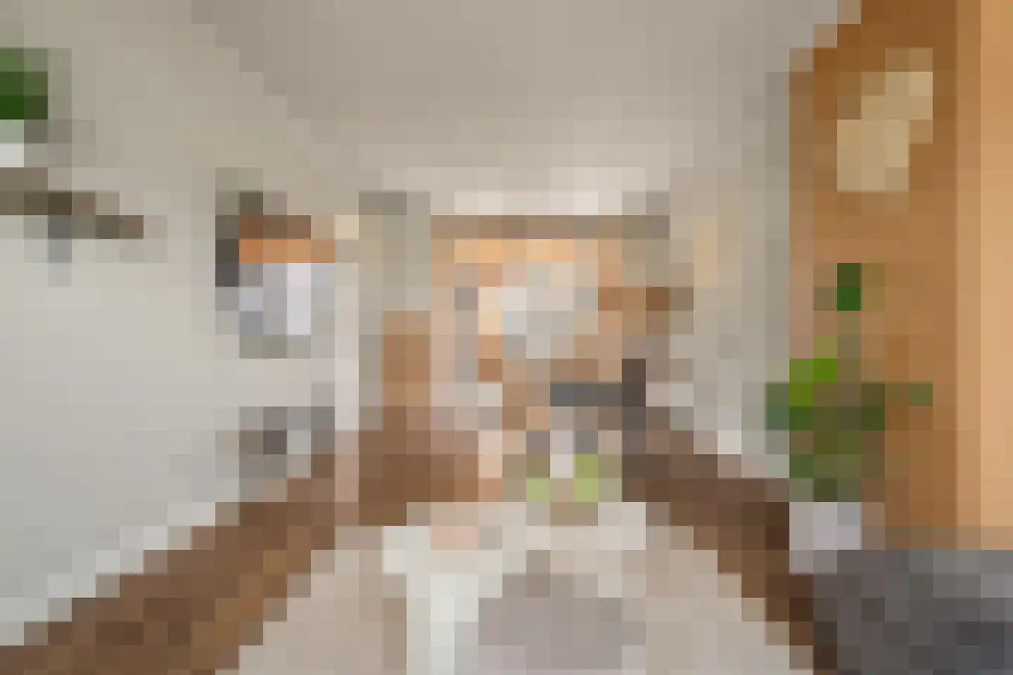 Floris van Egmondstraat 25 Lopik thumbnail 23