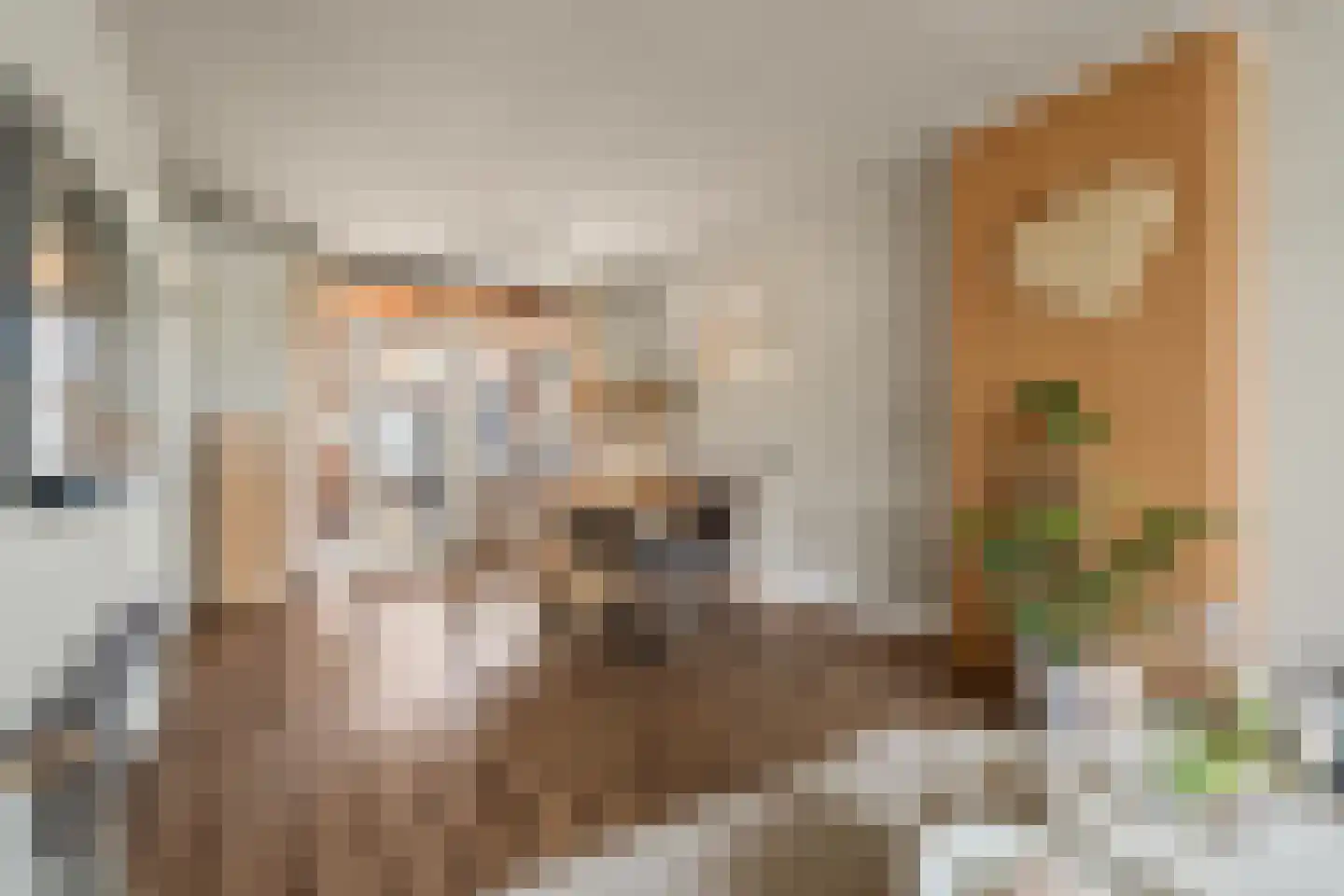 Floris van Egmondstraat 25 Lopik thumbnail 24