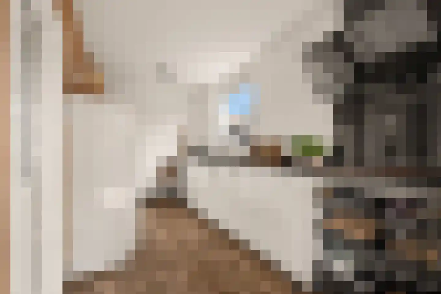 Floris van Egmondstraat 25 Lopik thumbnail 27