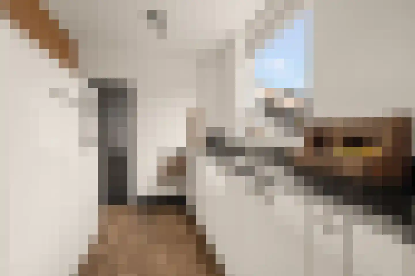 Floris van Egmondstraat 25 Lopik thumbnail 28