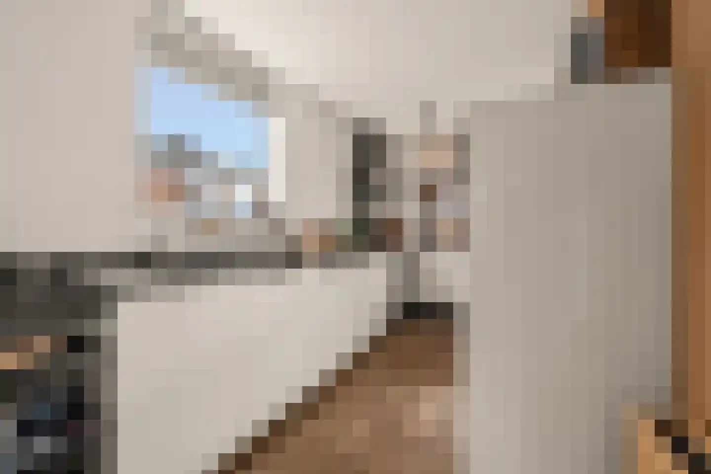 Floris van Egmondstraat 25 Lopik thumbnail 29