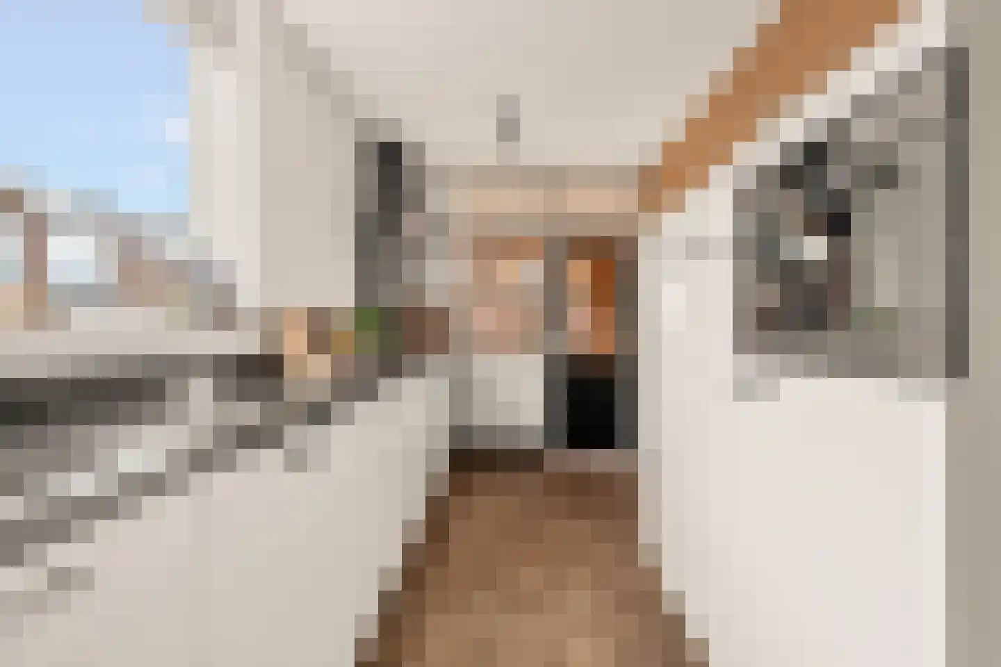 Floris van Egmondstraat 25 Lopik thumbnail 30