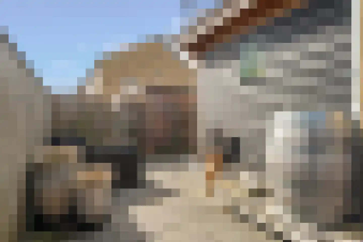 Floris van Egmondstraat 25 Lopik thumbnail 32