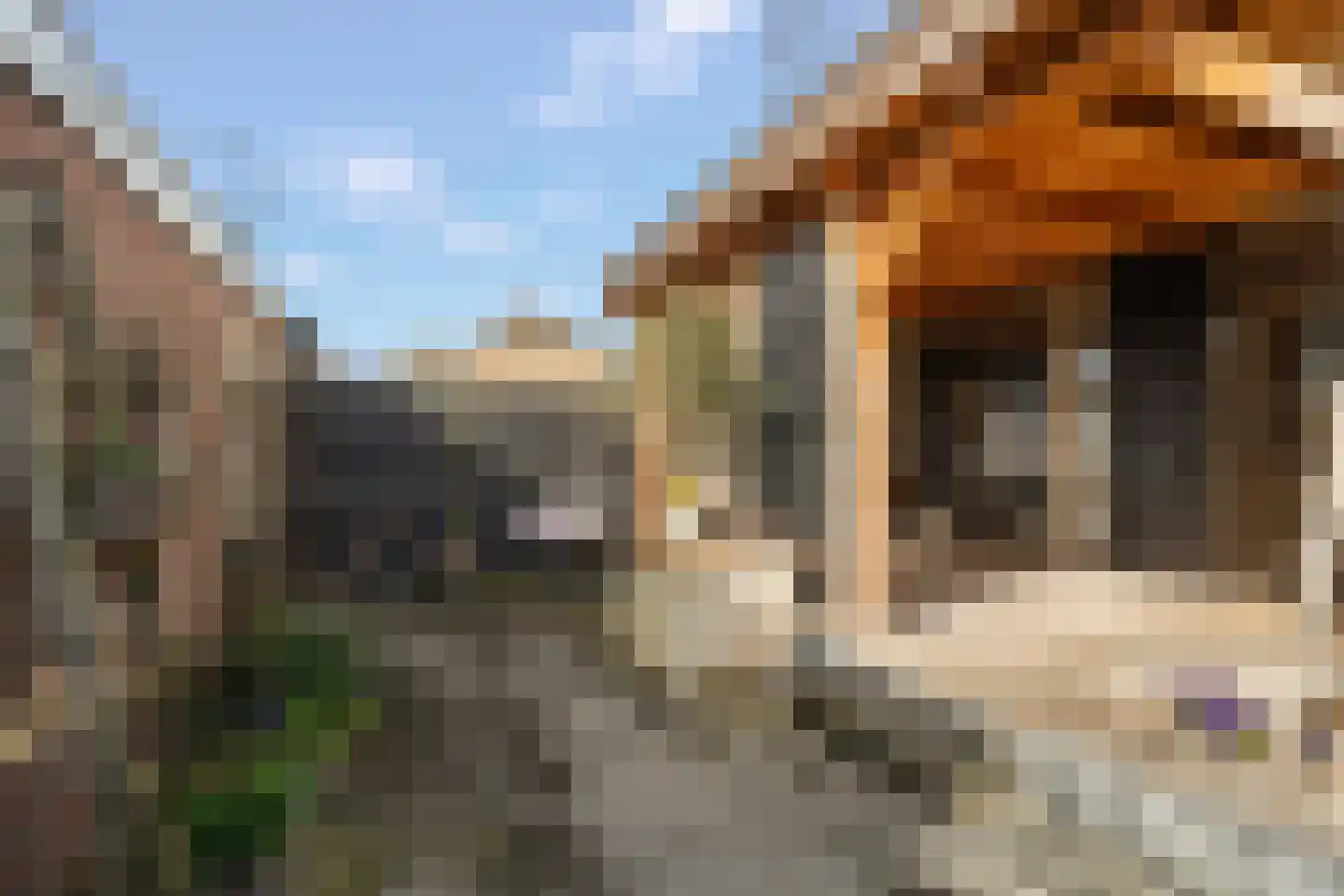 Floris van Egmondstraat 25 Lopik thumbnail 33