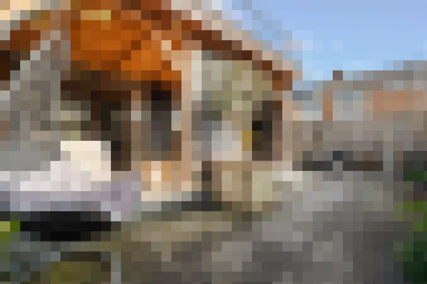 Floris van Egmondstraat 25 Lopik thumbnail 35