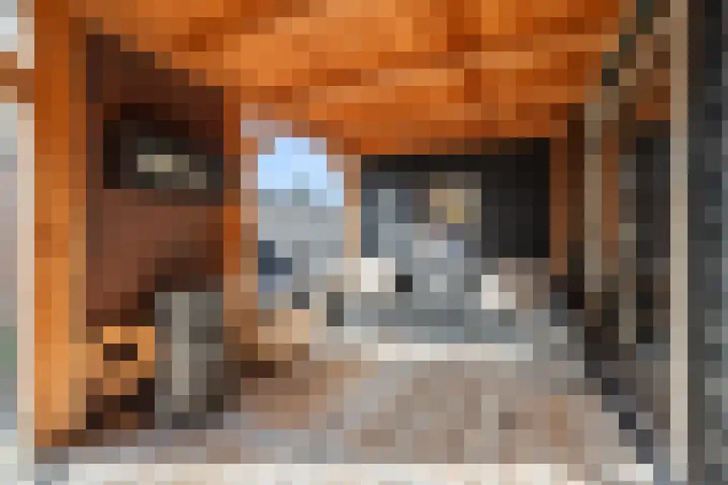 Floris van Egmondstraat 25 Lopik thumbnail 37