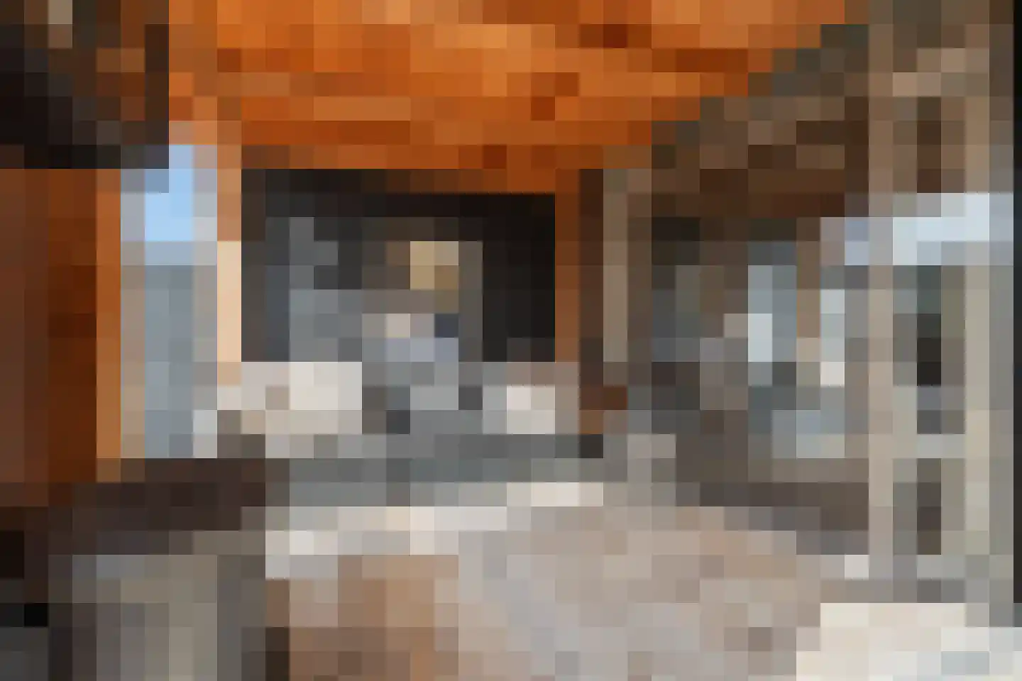 Floris van Egmondstraat 25 Lopik thumbnail 38
