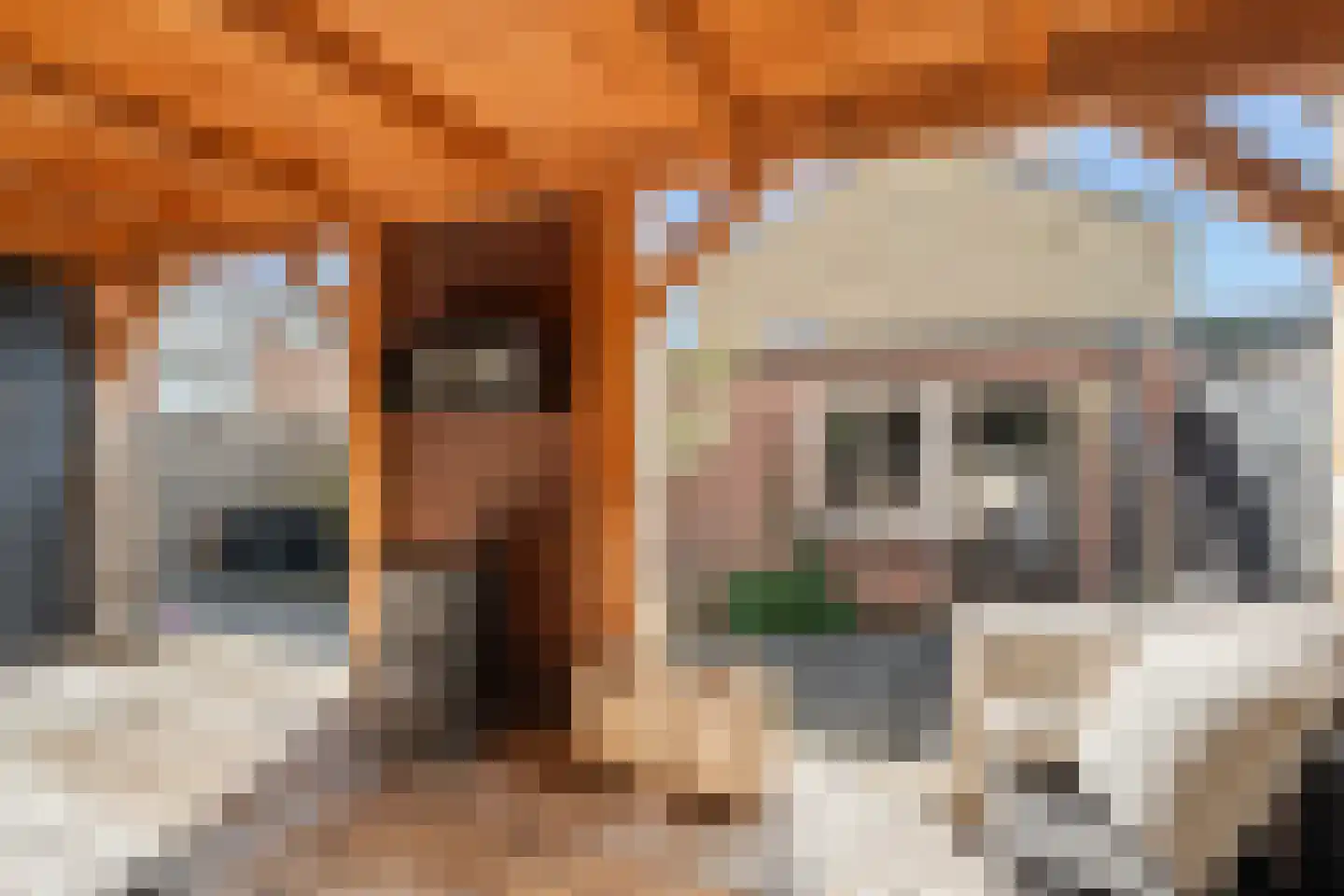 Floris van Egmondstraat 25 Lopik thumbnail 39