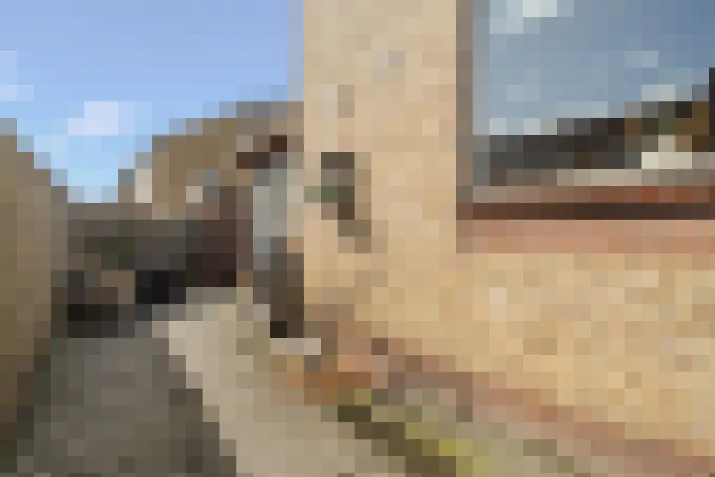 Floris van Egmondstraat 25 Lopik thumbnail 43