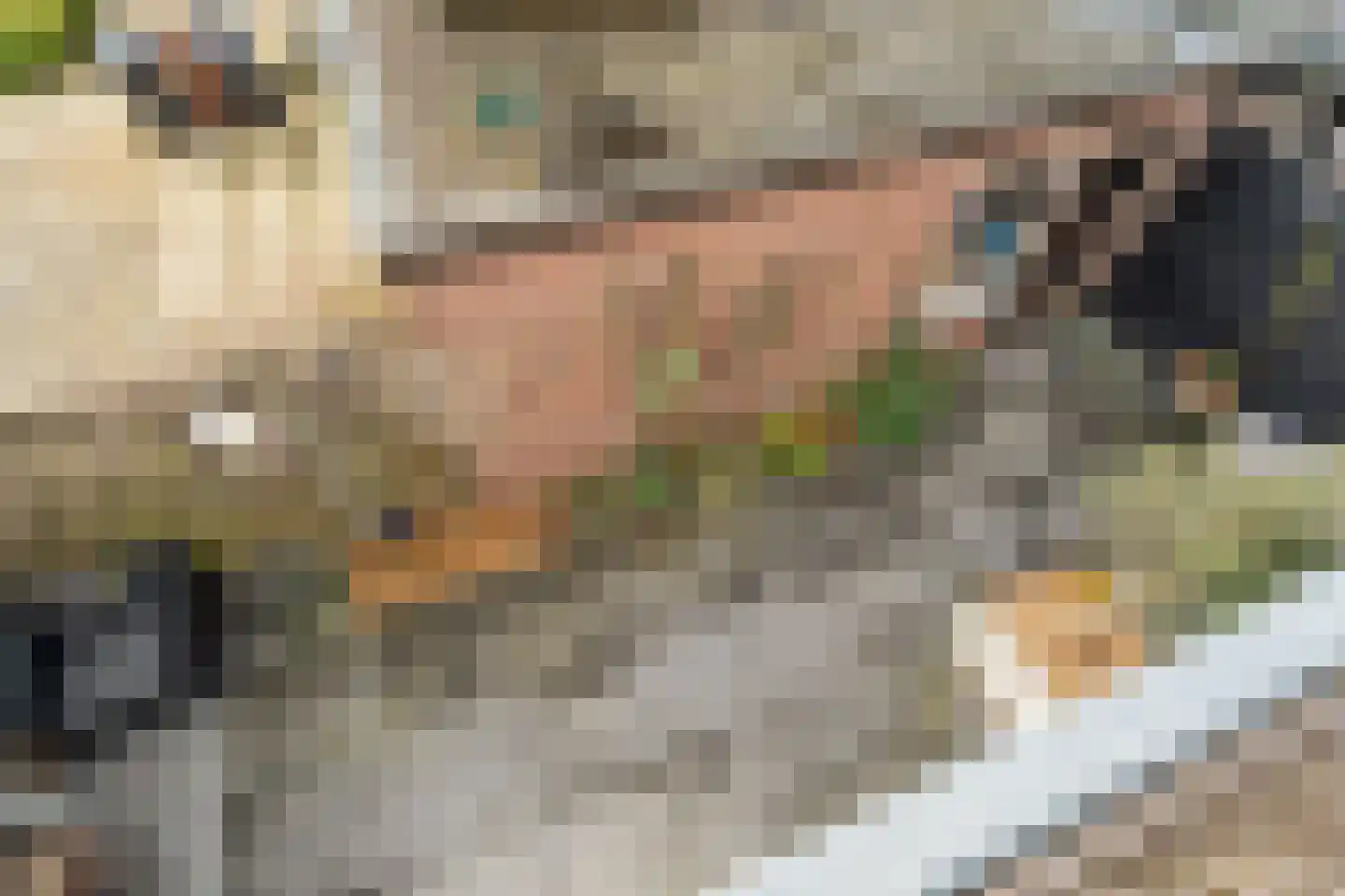 Floris van Egmondstraat 25 Lopik thumbnail 47