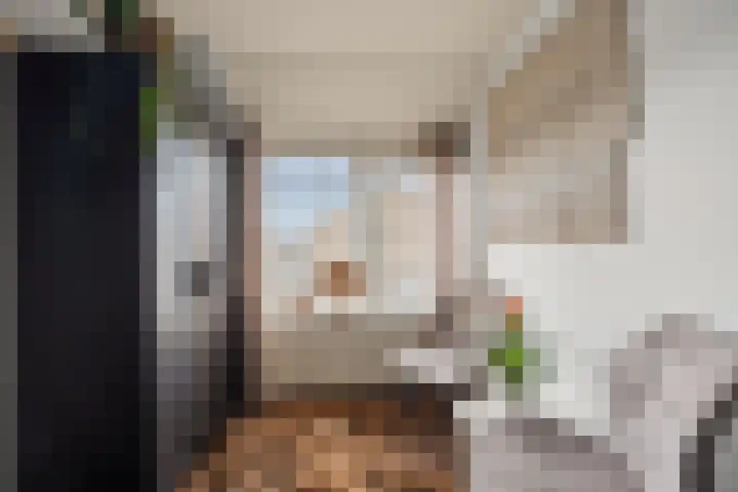 Floris van Egmondstraat 25 Lopik thumbnail 53
