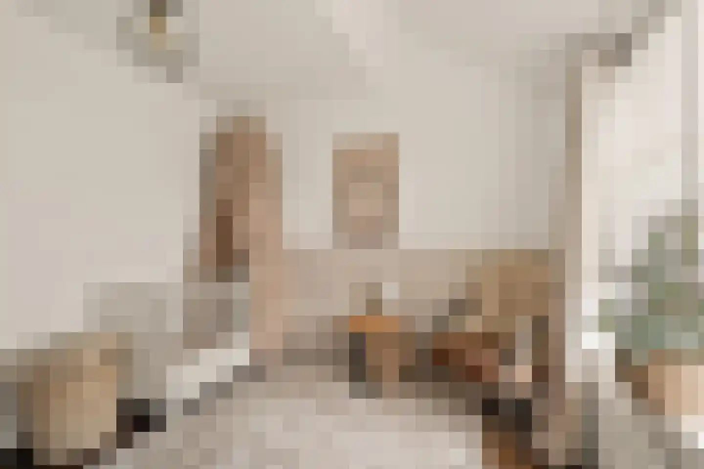 Floris van Egmondstraat 25 Lopik thumbnail 58