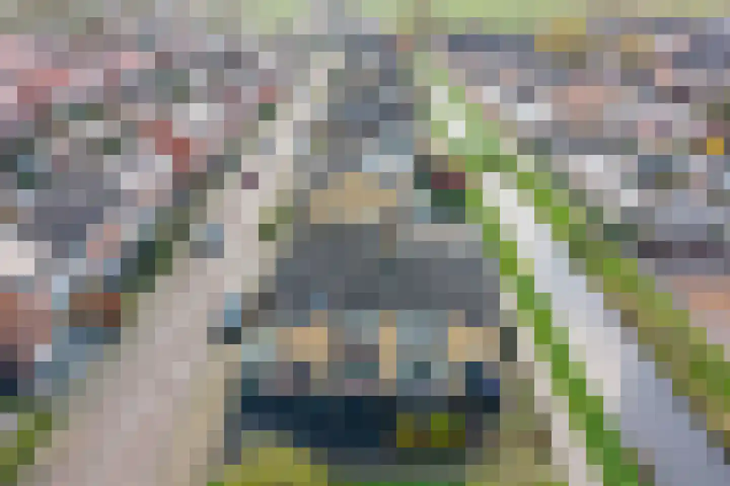 Floris van Egmondstraat 25 Lopik thumbnail 73