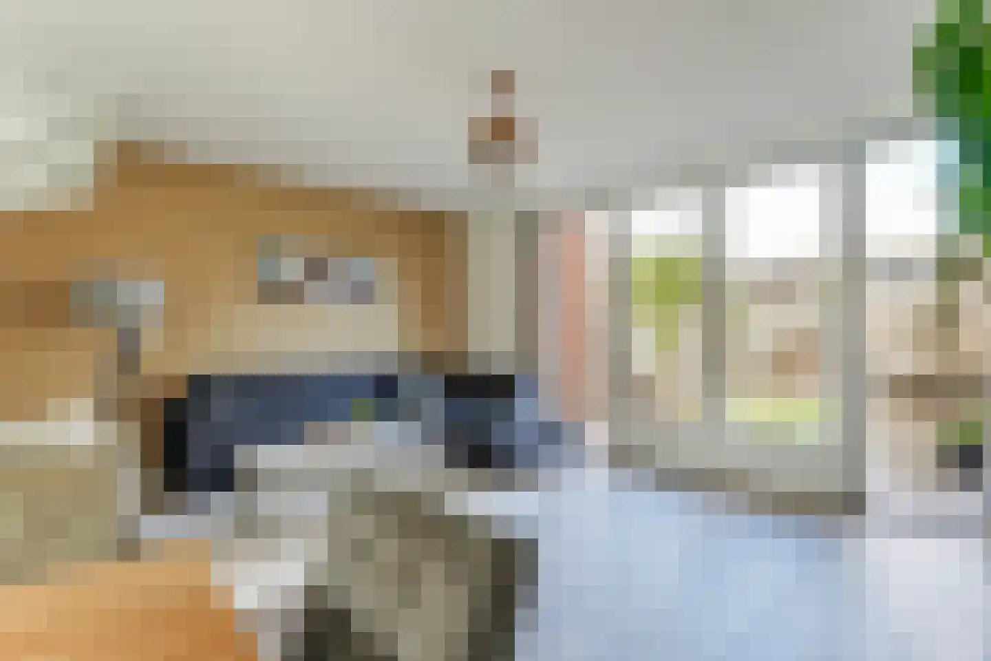Floris van Noordwijklaan 13 Spanbroek thumbnail 11