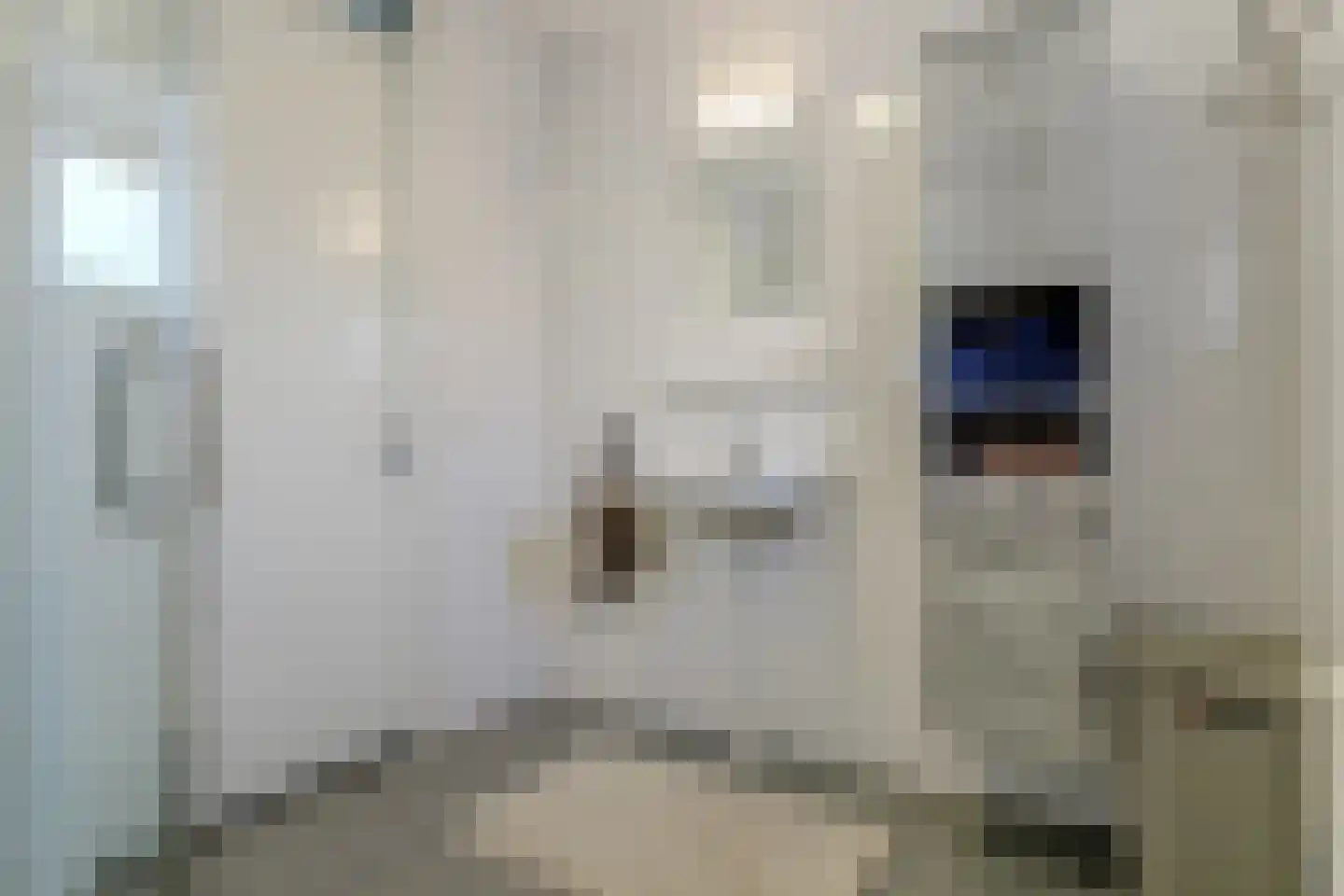 Floris van Noordwijklaan 13 Spanbroek thumbnail 33