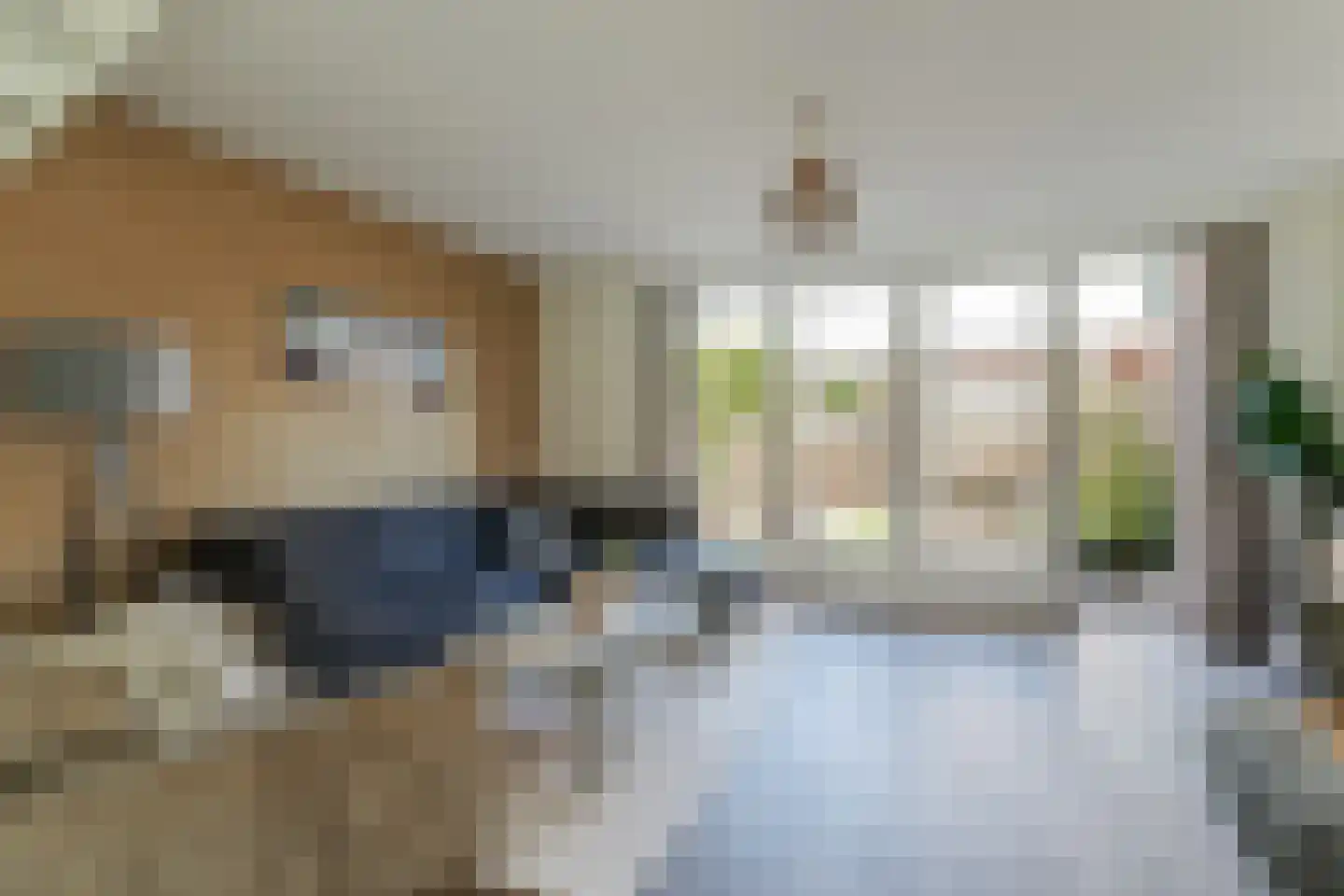Floris van Noordwijklaan 13 Spanbroek thumbnail 9