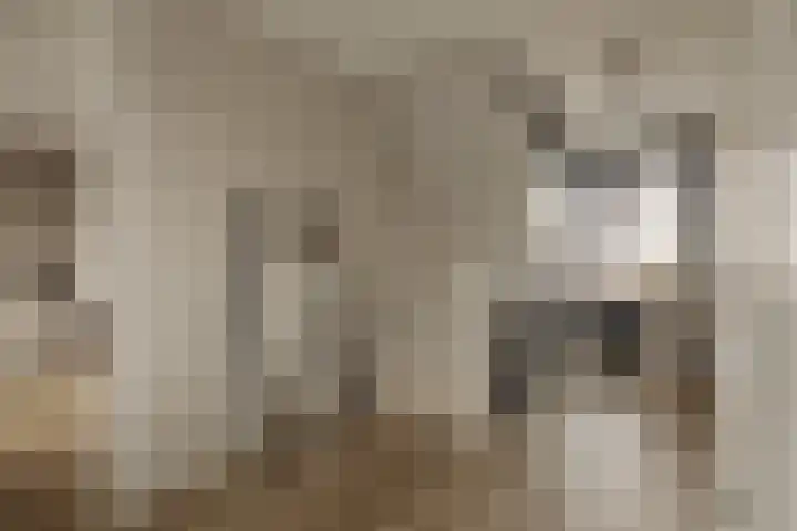 Floris van Noordwijklaan 28 Spanbroek thumbnail 12