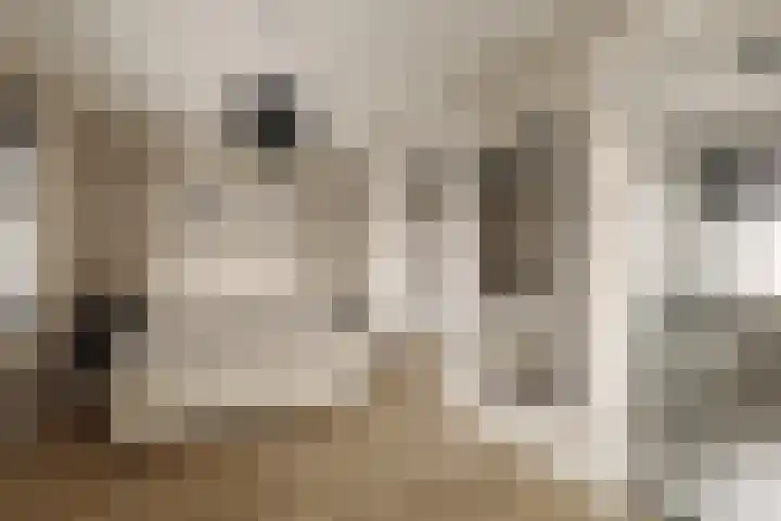 Floris van Noordwijklaan 28 Spanbroek thumbnail 13