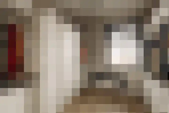 Floris van Noordwijklaan 28 Spanbroek thumbnail 14
