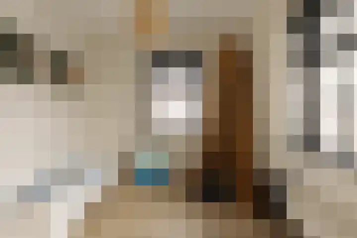 Floris van Noordwijklaan 28 Spanbroek thumbnail 17