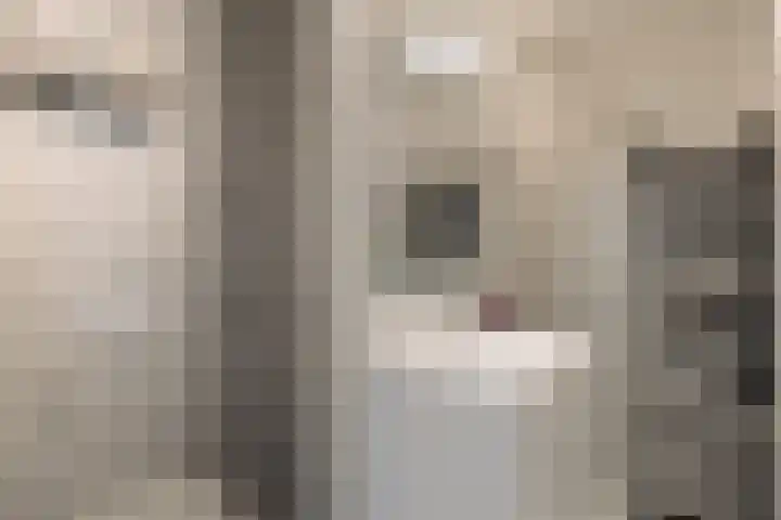 Floris van Noordwijklaan 28 Spanbroek thumbnail 18