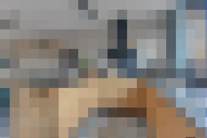 Floris van Noordwijklaan 32 Spanbroek thumbnail 19