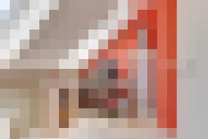 Floris van Noordwijklaan 32 Spanbroek thumbnail 39