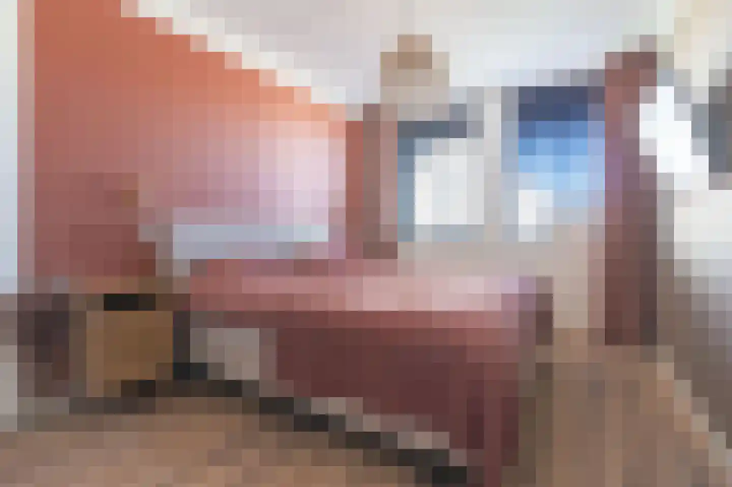 Floris van Noordwijklaan 7 Spanbroek thumbnail 20