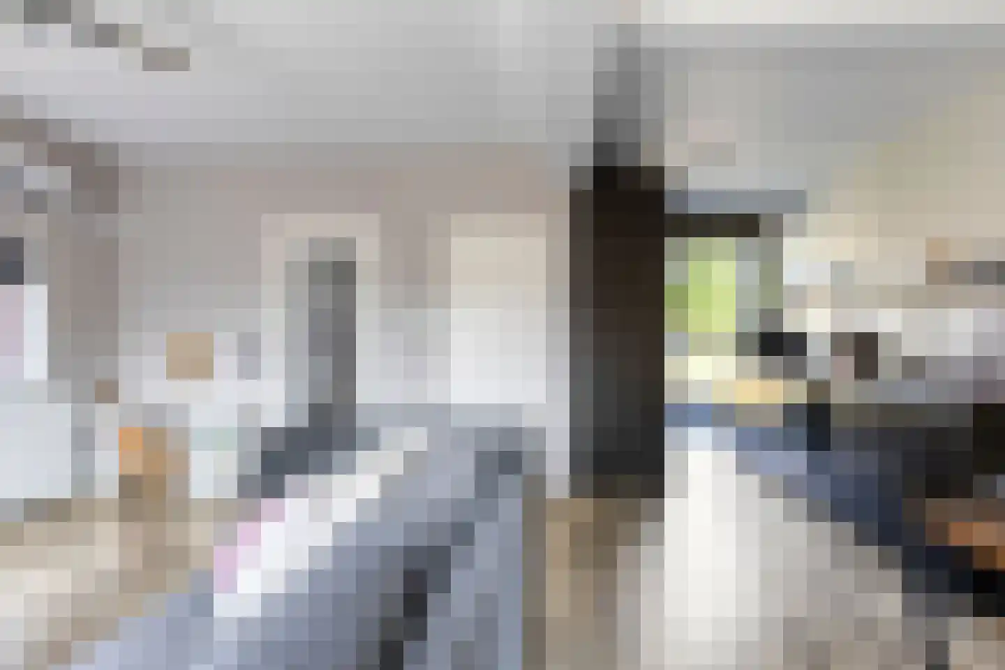 Floris van Wevelinghovenstraat 15 Deventer thumbnail 10