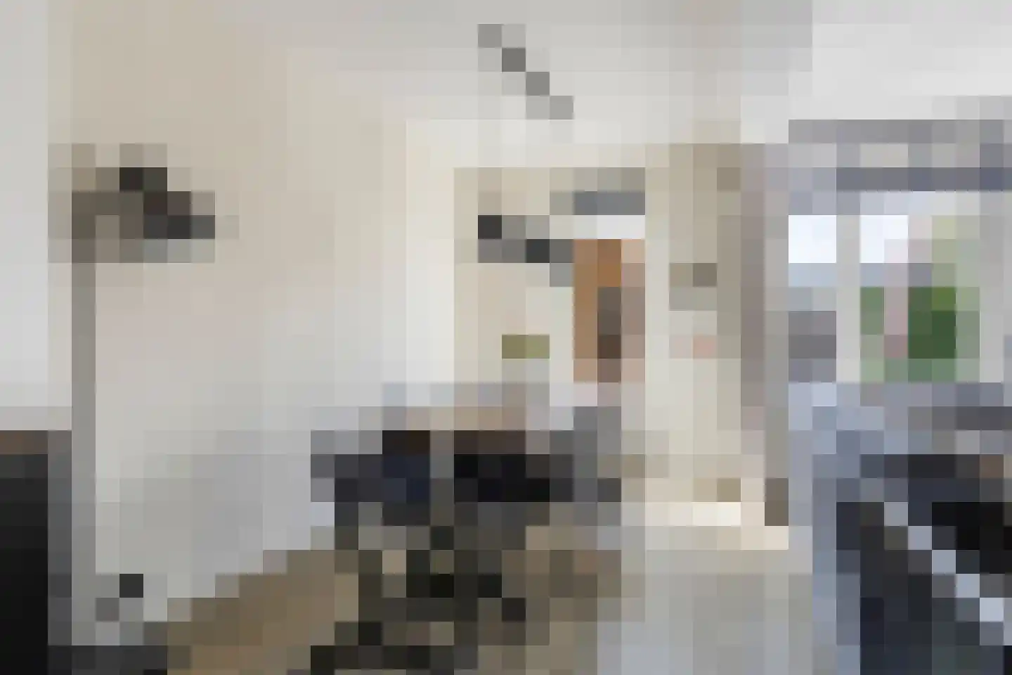 Floris van Wevelinghovenstraat 15 Deventer thumbnail 12