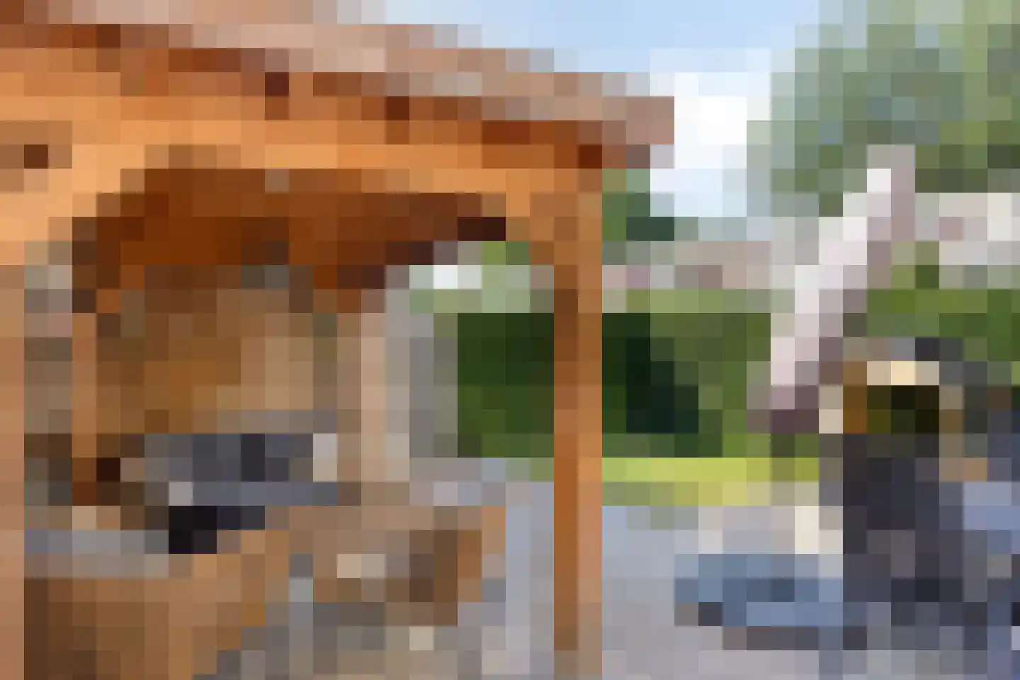 Floris van Wevelinghovenstraat 15 Deventer thumbnail 29