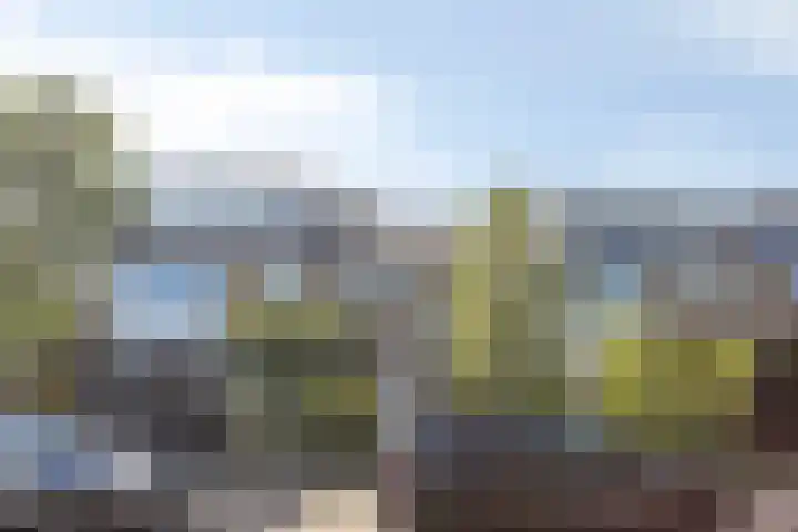 Floris Versterlaan 23 Oegstgeest thumbnail 26