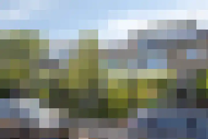 Floris Versterlaan 23 Oegstgeest thumbnail 27