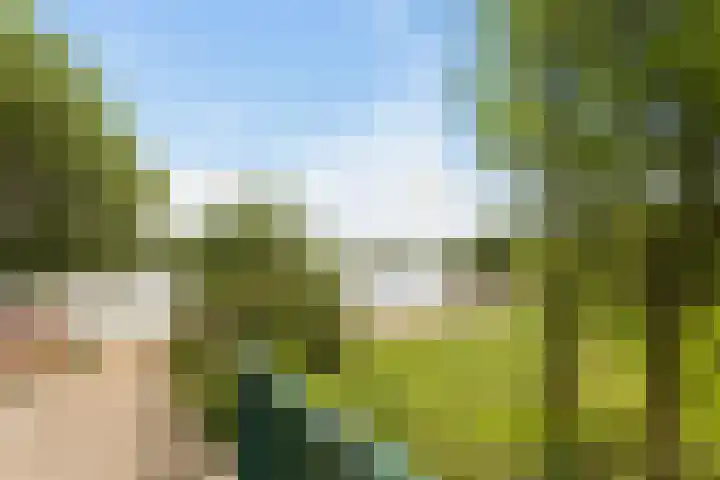 Floris Versterlaan 23 Oegstgeest thumbnail 32