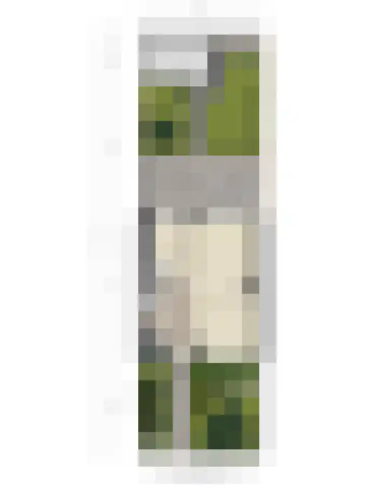 Floris Versterlaan 23 Oegstgeest thumbnail 36