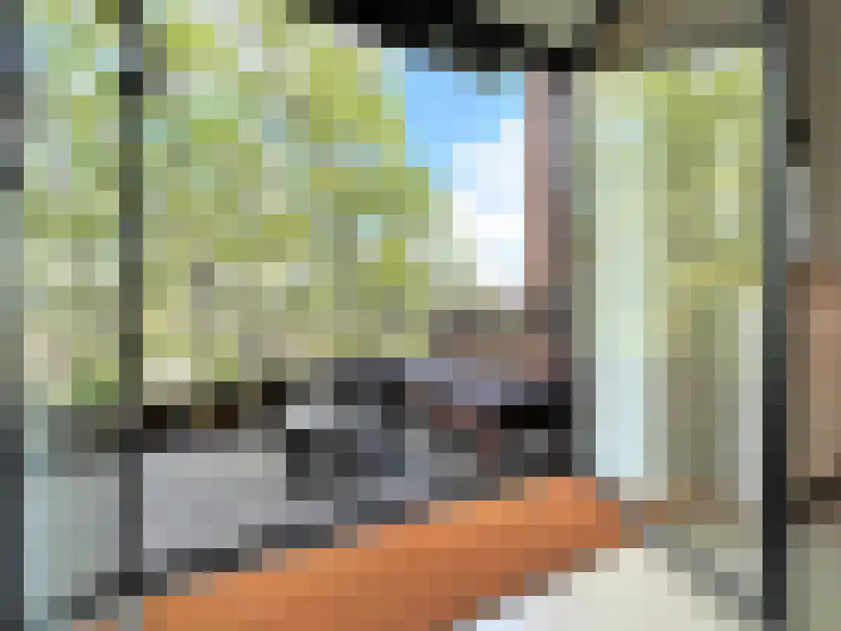 Floris Versterstraat 10 Amsterdam thumbnail 5