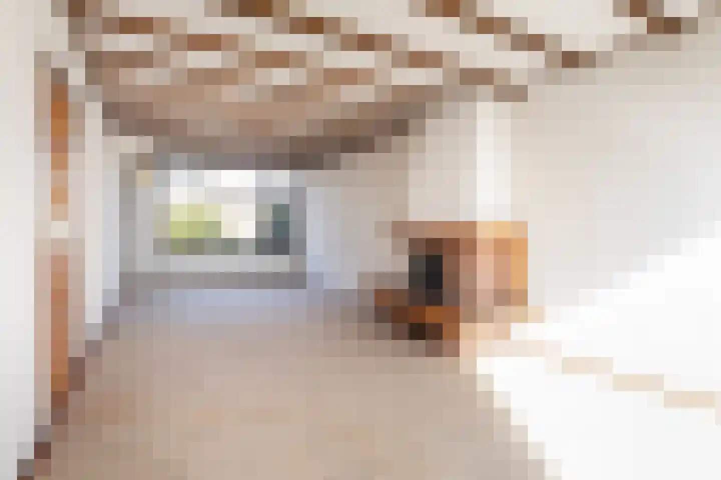 Floris Versterstraat 10 Woerden thumbnail 11