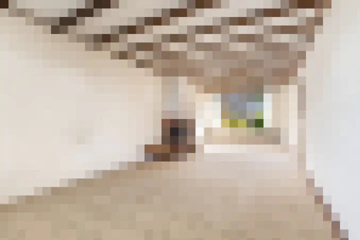 Floris Versterstraat 10 Woerden thumbnail 15