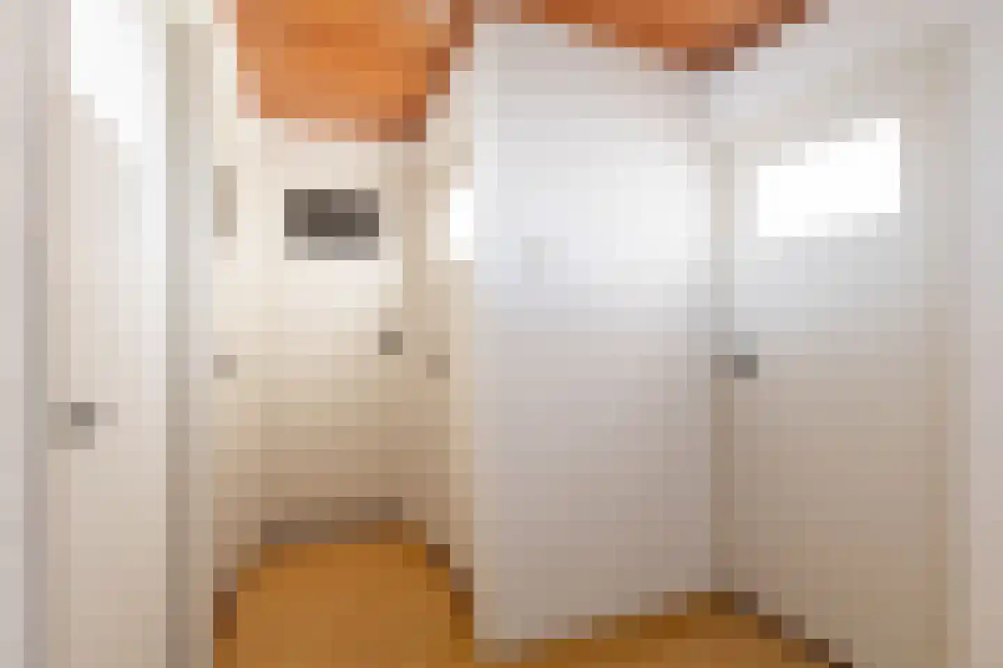 Floris Versterstraat 10 Woerden thumbnail 23