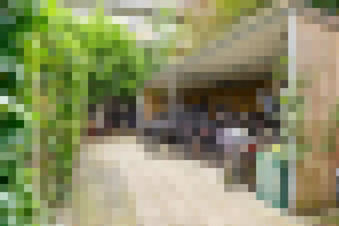 Floris Versterstraat 11 C Amsterdam thumbnail 34