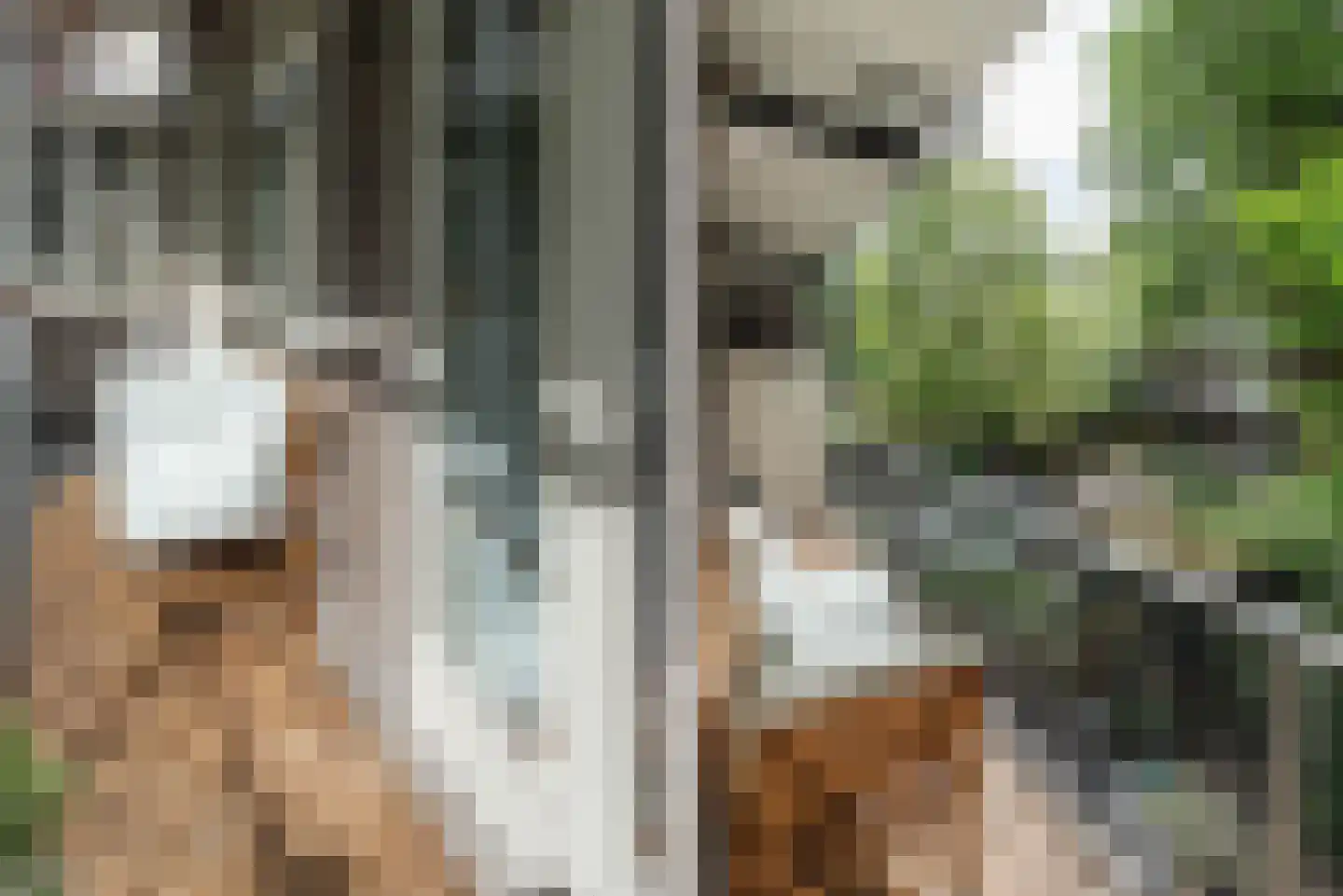 Floris Versterstraat 15 1 Amsterdam thumbnail 18