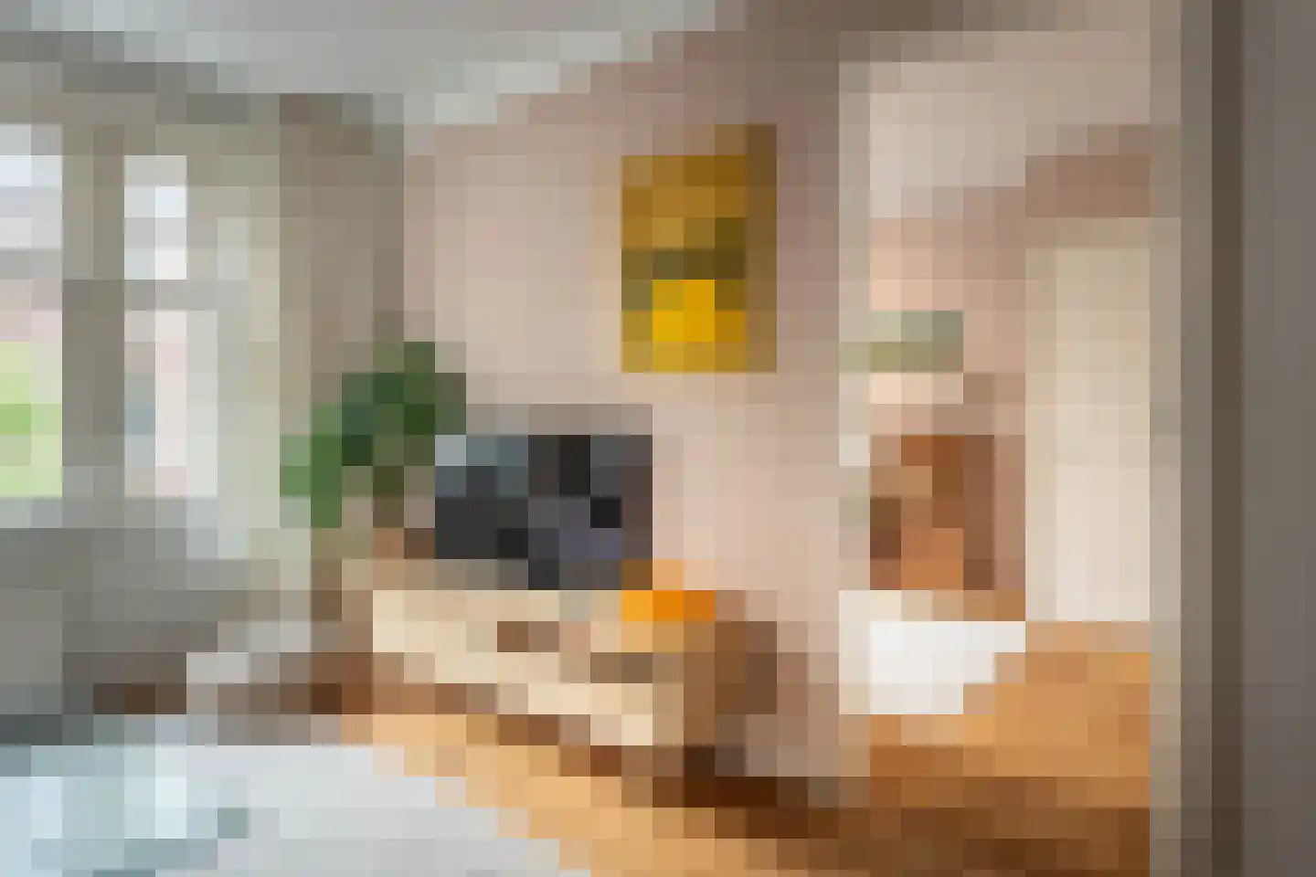 Floris Versterstraat 15 1 Amsterdam thumbnail 5