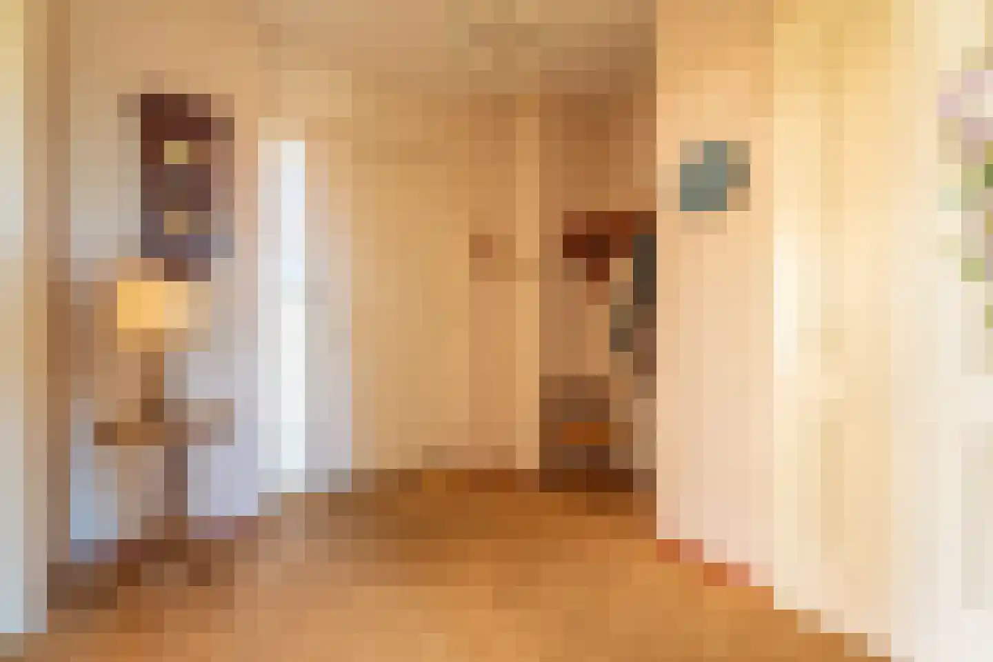 Floris Versterstraat 22 Rijnsburg thumbnail 16
