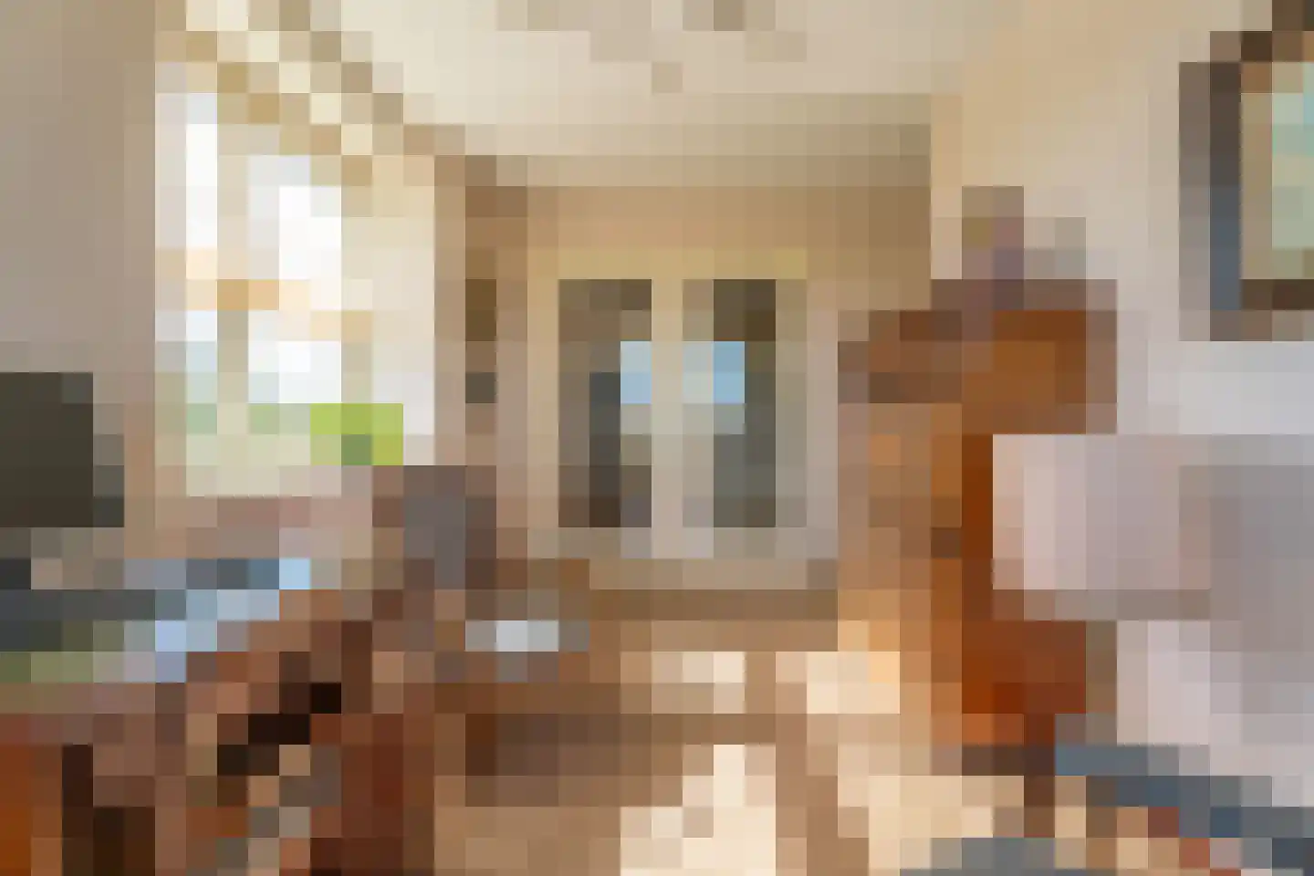Floris Versterstraat 22 Rijnsburg thumbnail 9