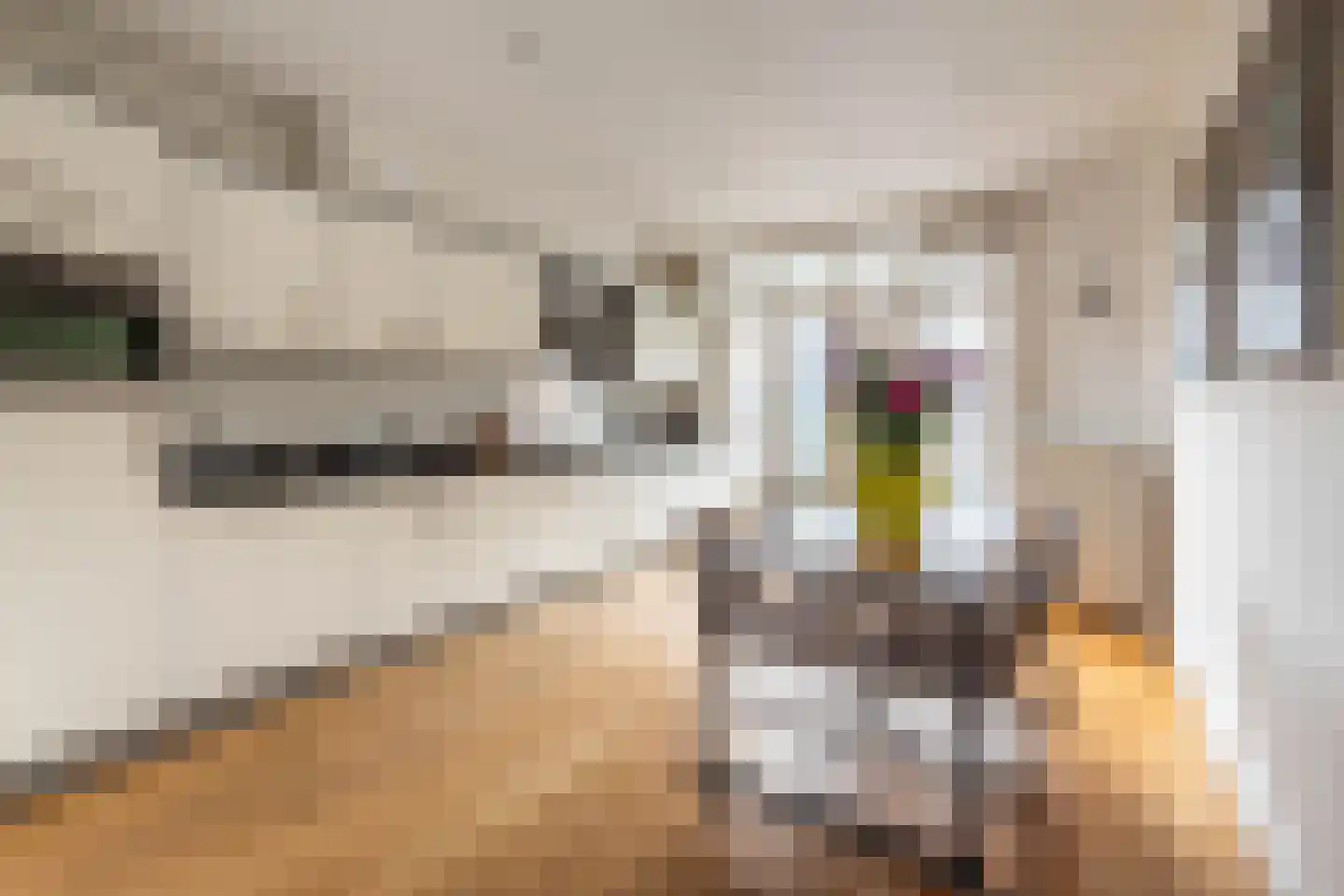 Floris Versterstraat 4 1 Amsterdam thumbnail 4