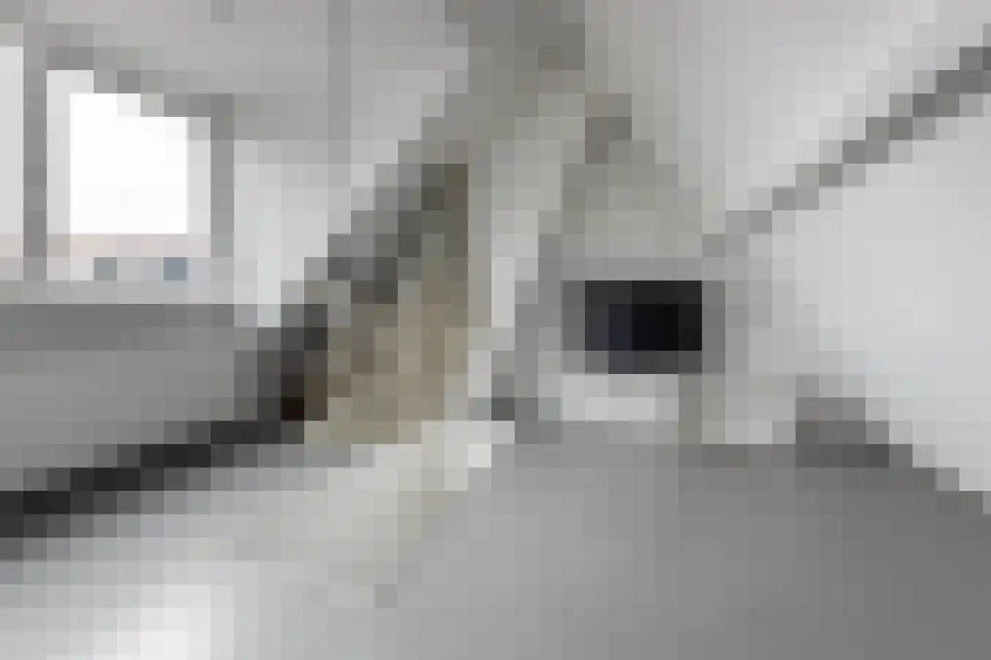 Floris Versterstraat 4 2 Amsterdam thumbnail 38