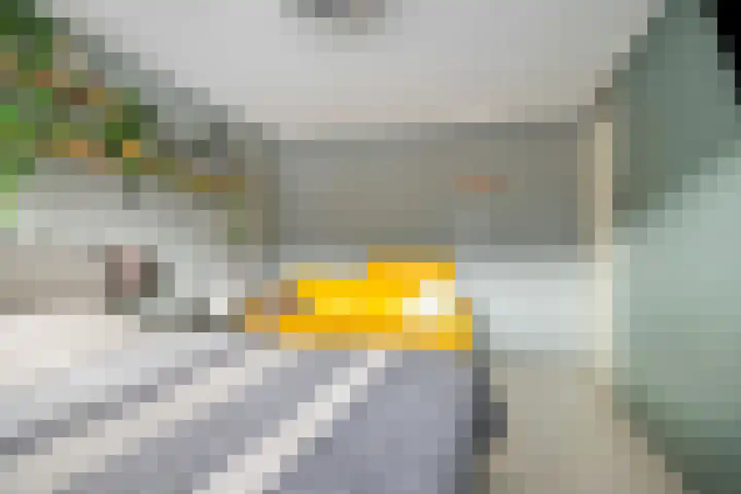 Floris Versterstraat 68 Almere thumbnail 16
