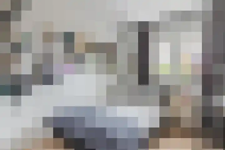 Floris Vosstraat 18 Hilversum thumbnail 15