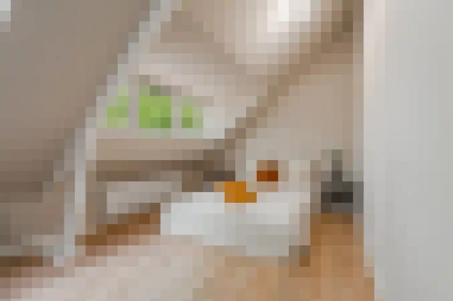 Floris Vosstraat 2 A Hilversum thumbnail 23